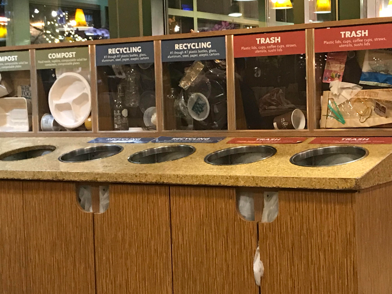 A photo, taken by me, of TOO MANY TRASH OPTIONS